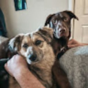 Meet your Posher, Mooslee